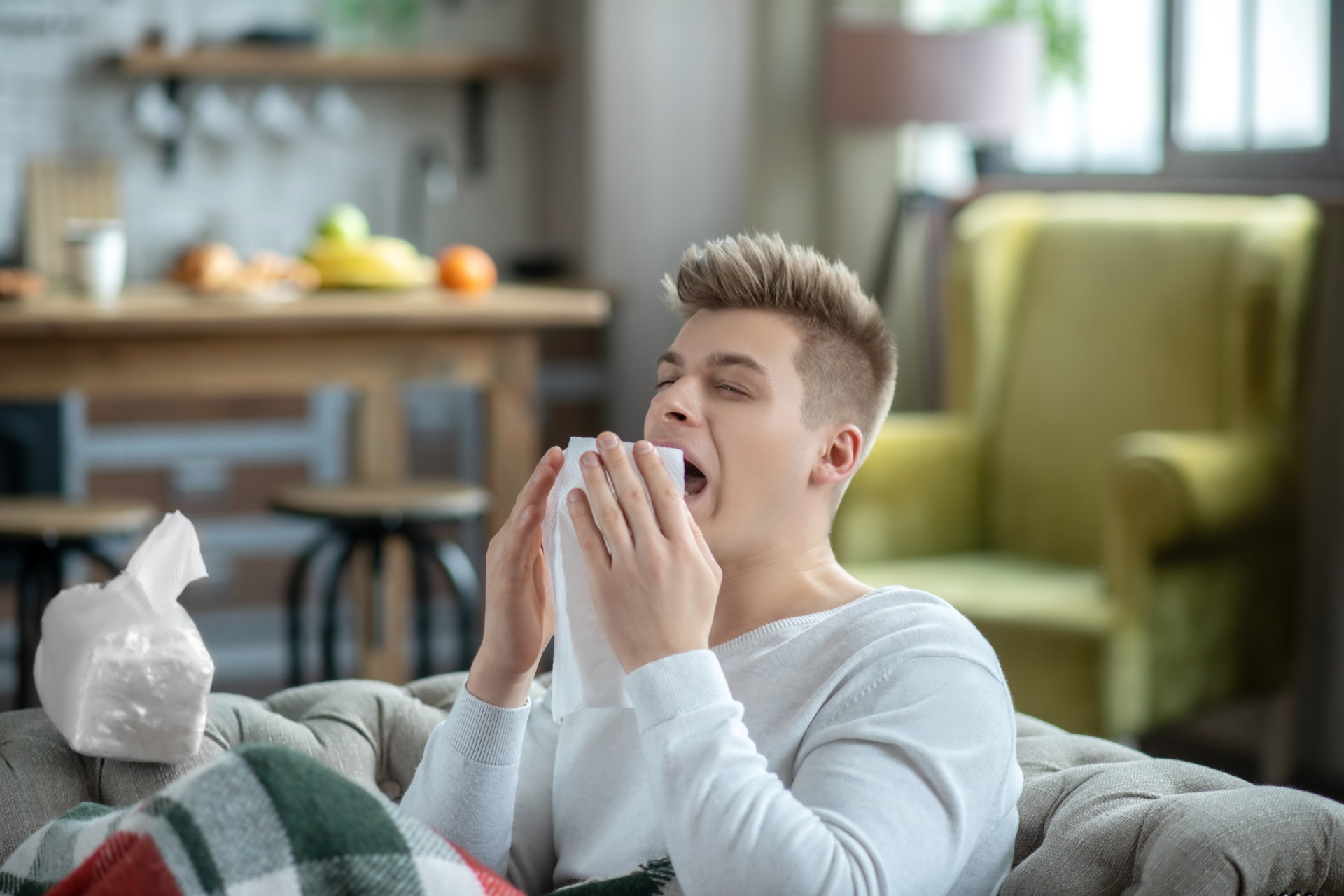 Combat Spring Allergies with Proper Home Insulation in Chattanooga