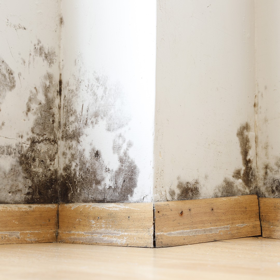 Can Insulation Get Wet? | Koala Insulation of West Portland