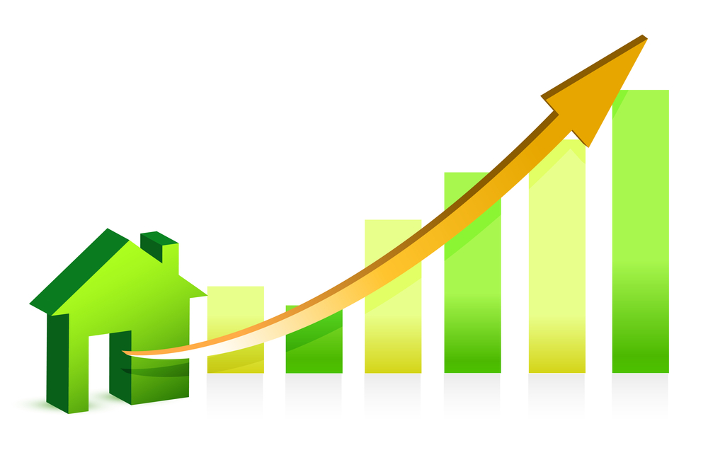 Elevating Your Home’s Value with Insulation from Koala Insulation