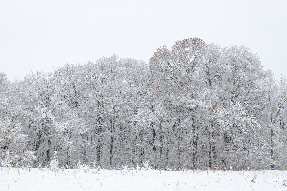 Navigating Extreme Weather: The Critical Role of Insulation