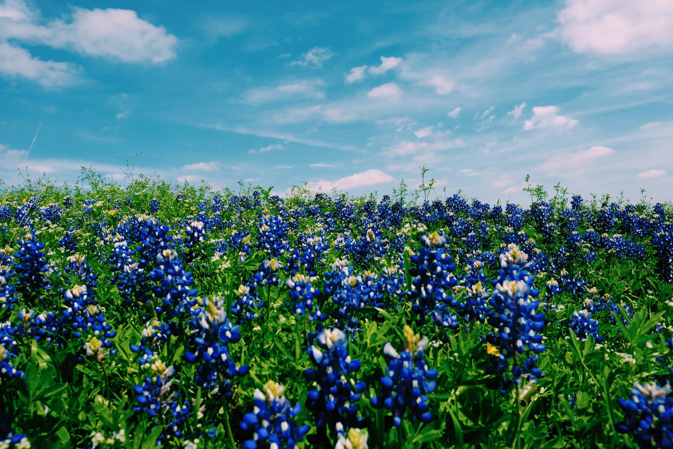 Spring Home Improvement Checklist
