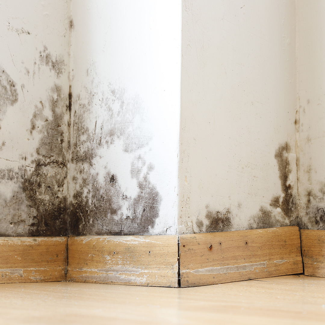 What Happens if Insulation Gets Wet? | Koala Insulation of Northwest P
