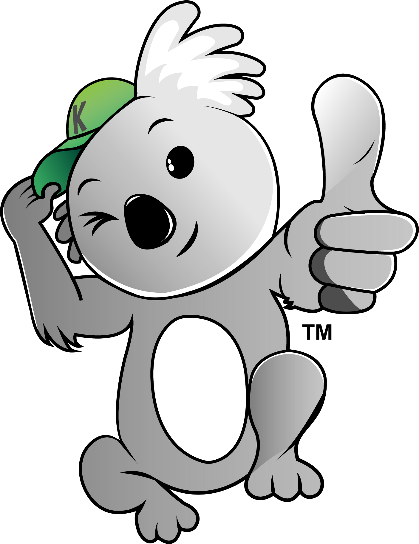 A Brief Guide to Spray Foam Insulation | Koala Insulation of North Ind