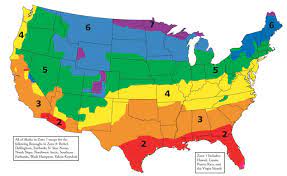 R Value and the importance of Attic insulation