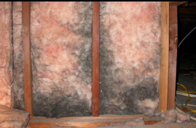What To Do If Your Insulation Gets Wet