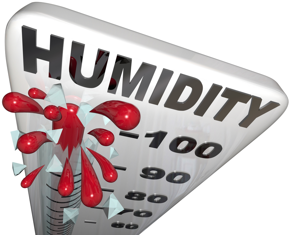 Insulation Solutions for Humidity Control in St. Paul’s Summer Climate
