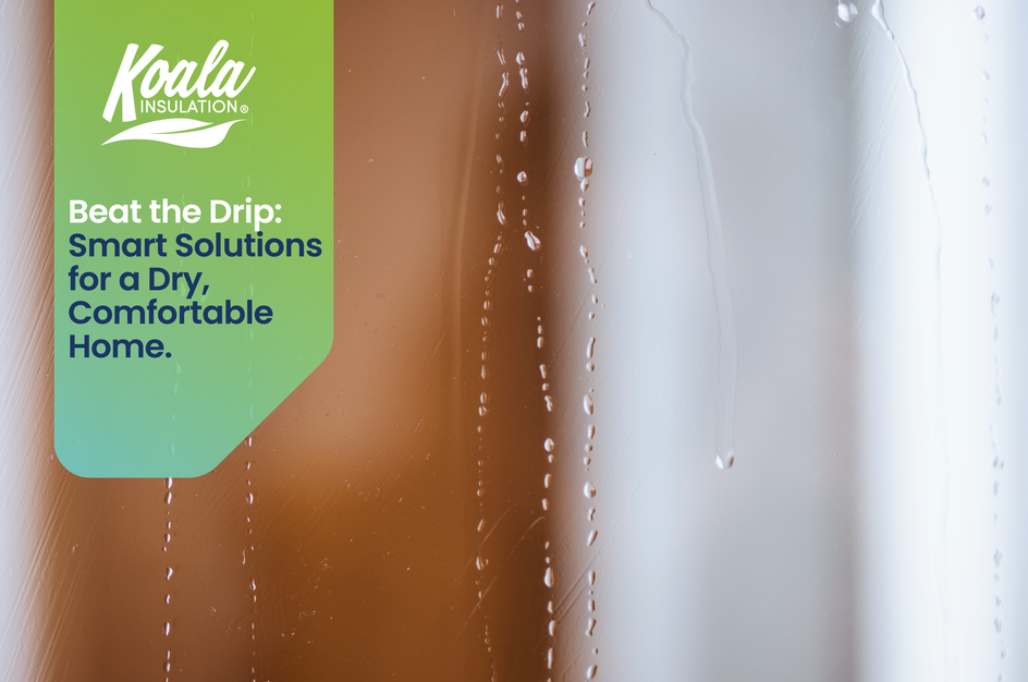 Beat the Drip: Smart Solutions for a Dry, Comfortable Home