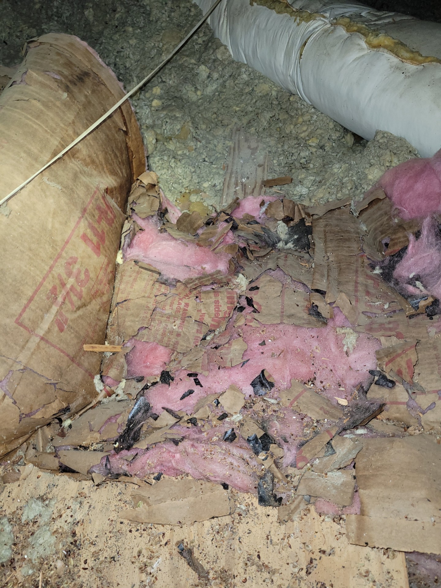 5 Signs You Need to Replace Your Attic Insulation