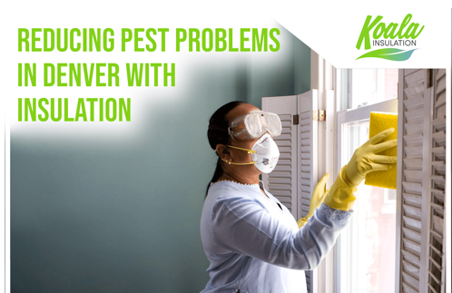 Reducing Pest Problems in Denver with the Right Insulation