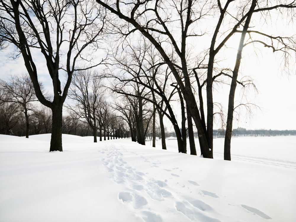 Preparing Your St. Paul Home for Winter: Essential Insulation Tips