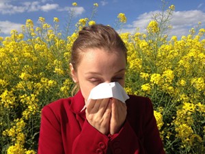 Seasonal Allergens and Insulation