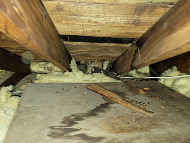 How Hurricanes Impact Your Home’s Insulation and What You Can Do