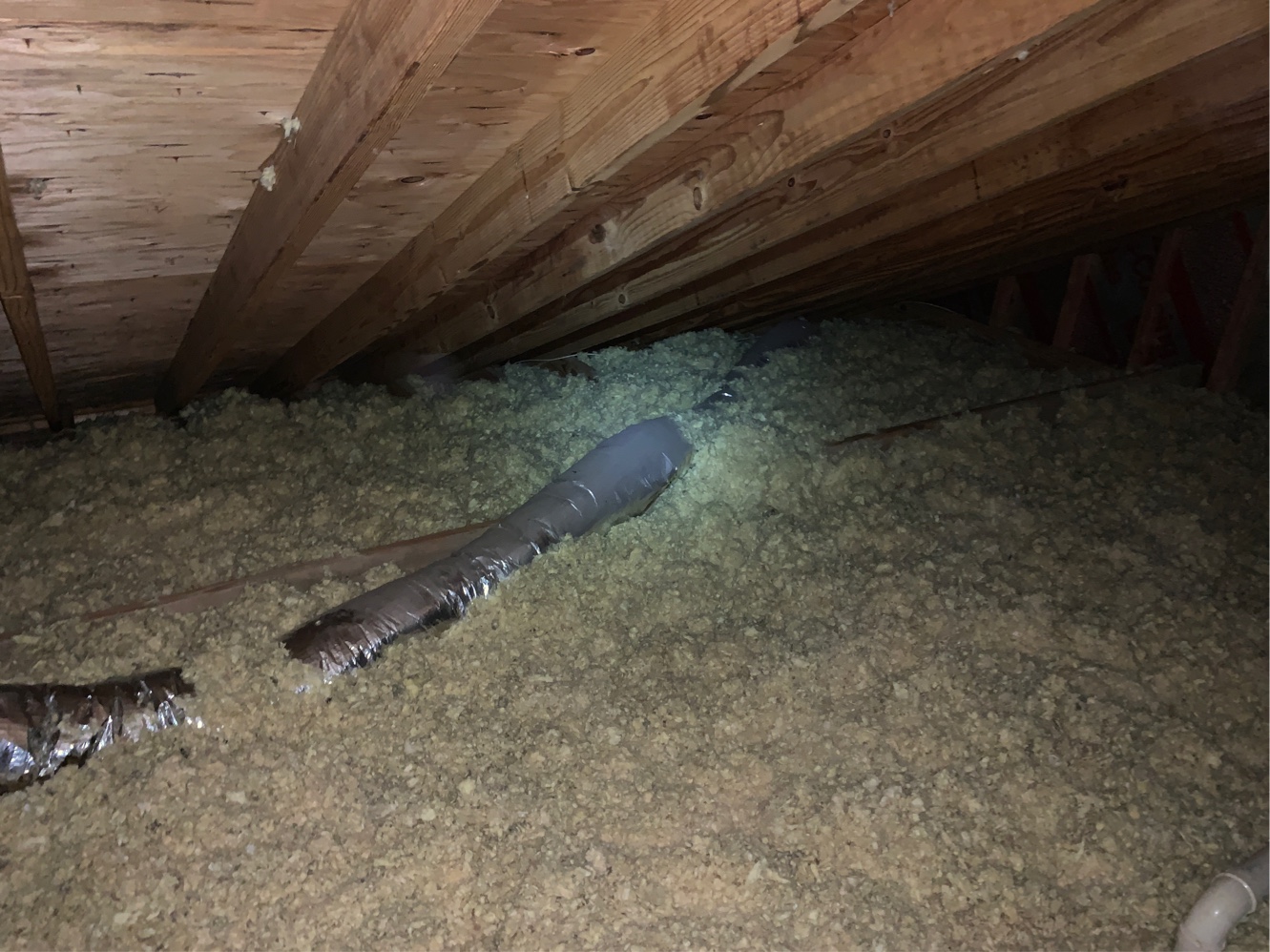 Cellulose Insulation