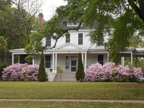 Spring Into Comfort: Elevate Your Home with Koala Insulation