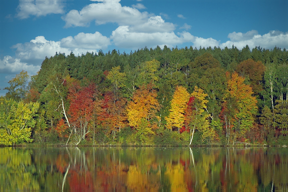 Preparing Your St. Paul Home for Fall: Insulation Tips