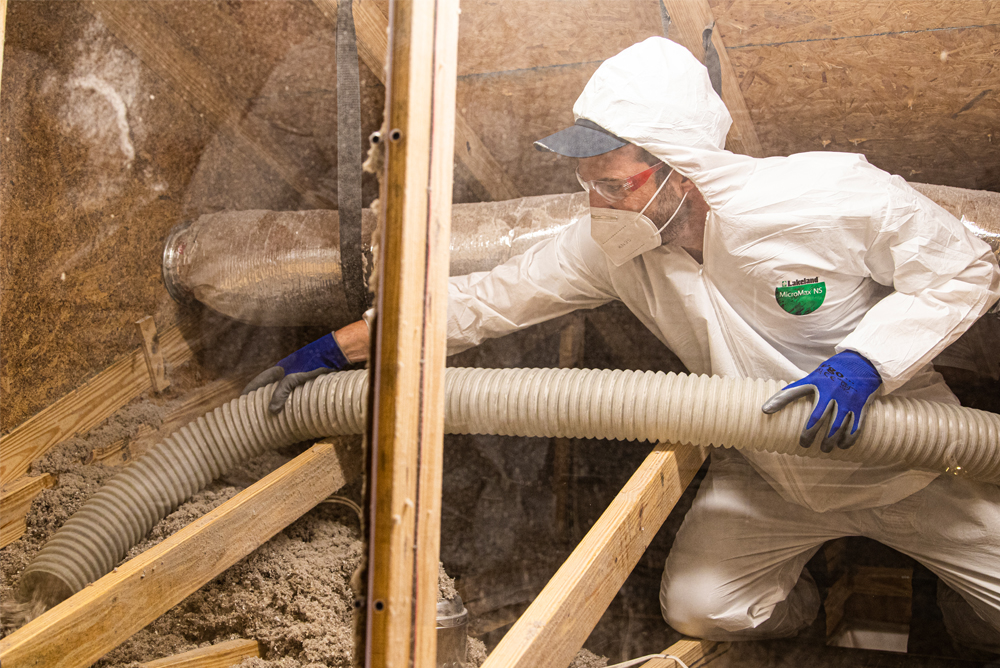 Insulation 101: Cellulose | Koala Insulation
