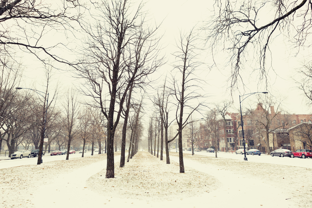 Prep for Chicago’s Cold: Ensure a Warm and Energy-Efficient October