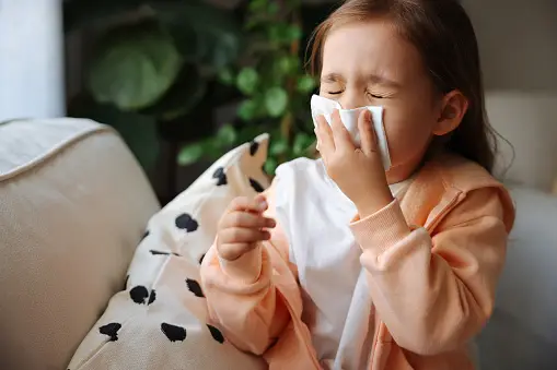 Can Insulation Help Reduce Allergy Symptoms