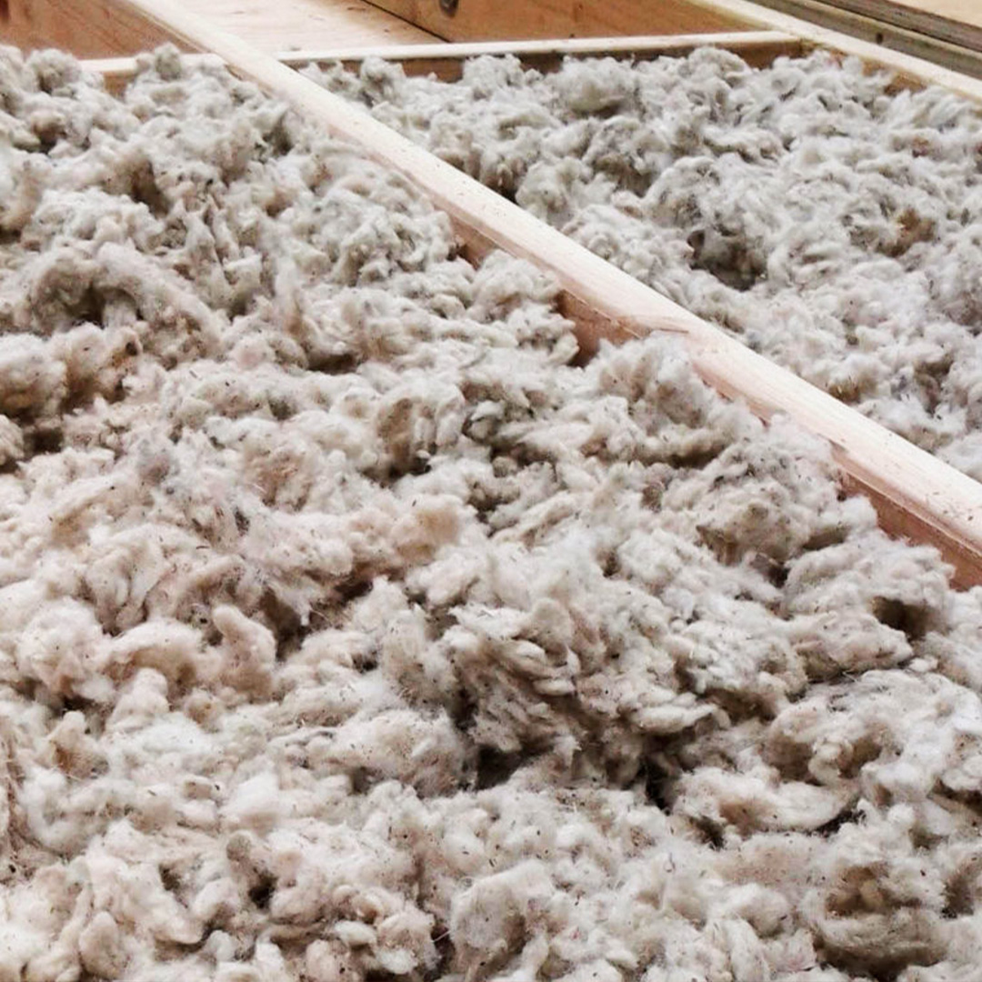 An Intro to Using Sheep’s Wool as an Insulator | Koala Insulation of N