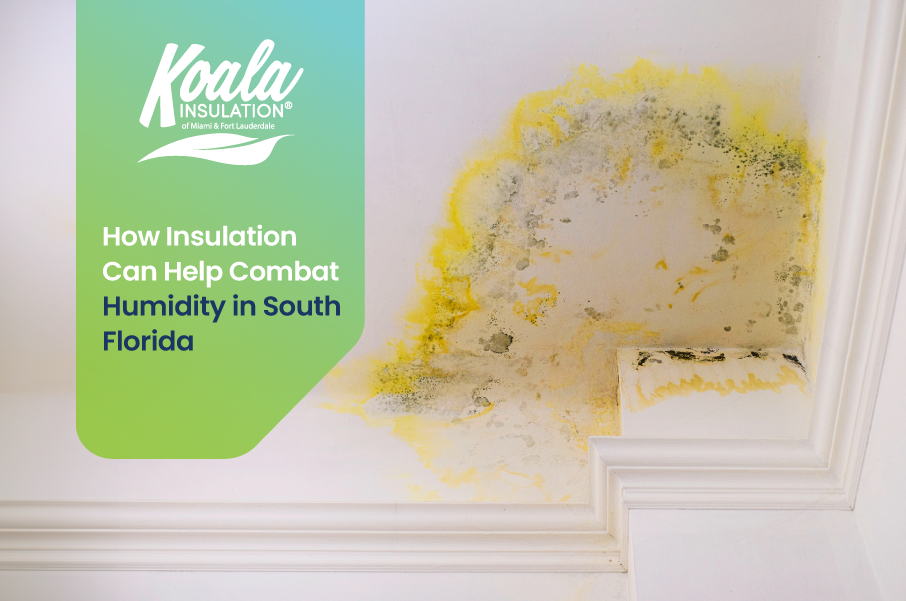 How Insulation Can Help Combat Humidity in South Florida.