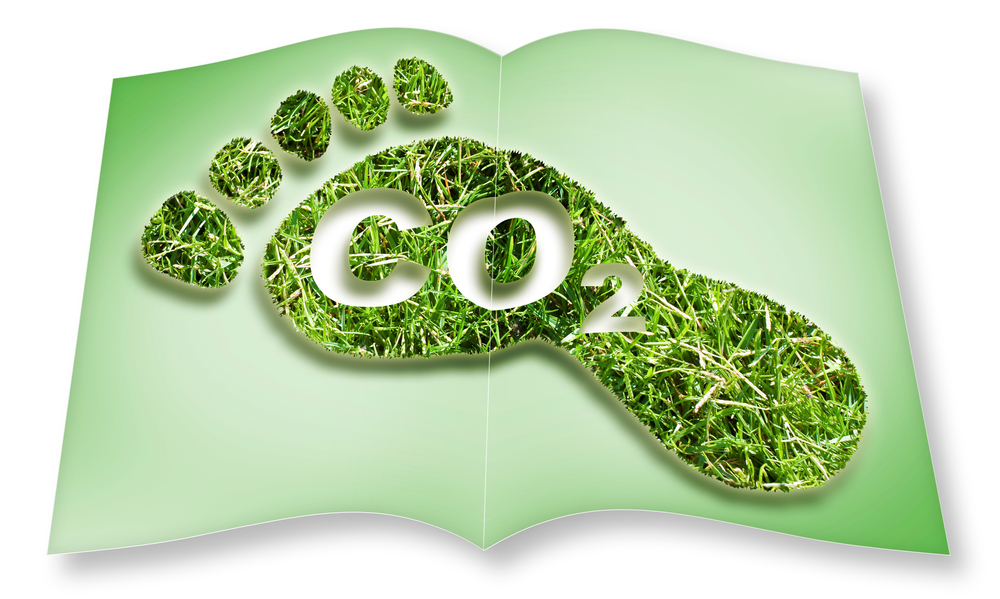 How Insulation Can Reduce Your Carbon Footprint and Save Energy