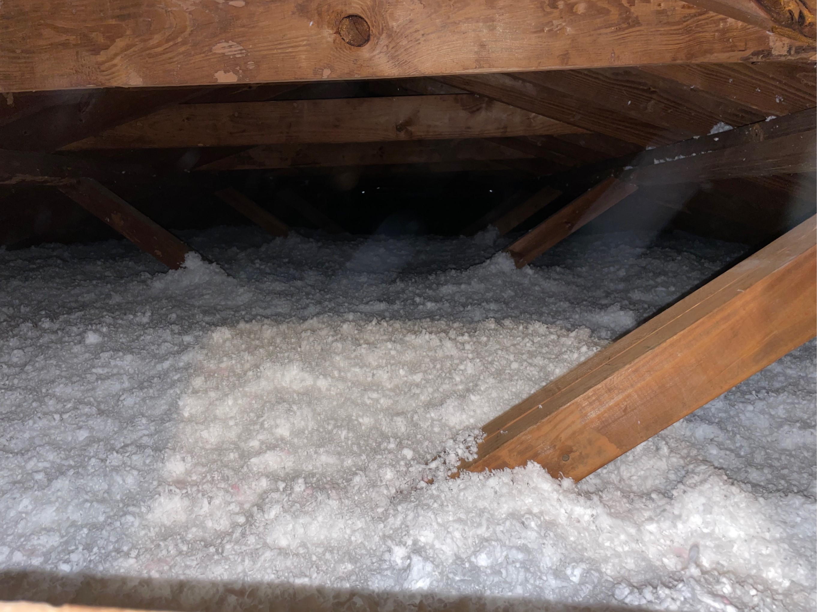 Protect Your Home From Damage | Koala Insulation