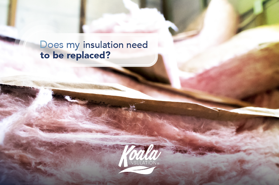 Does my insulation need to be replaced?