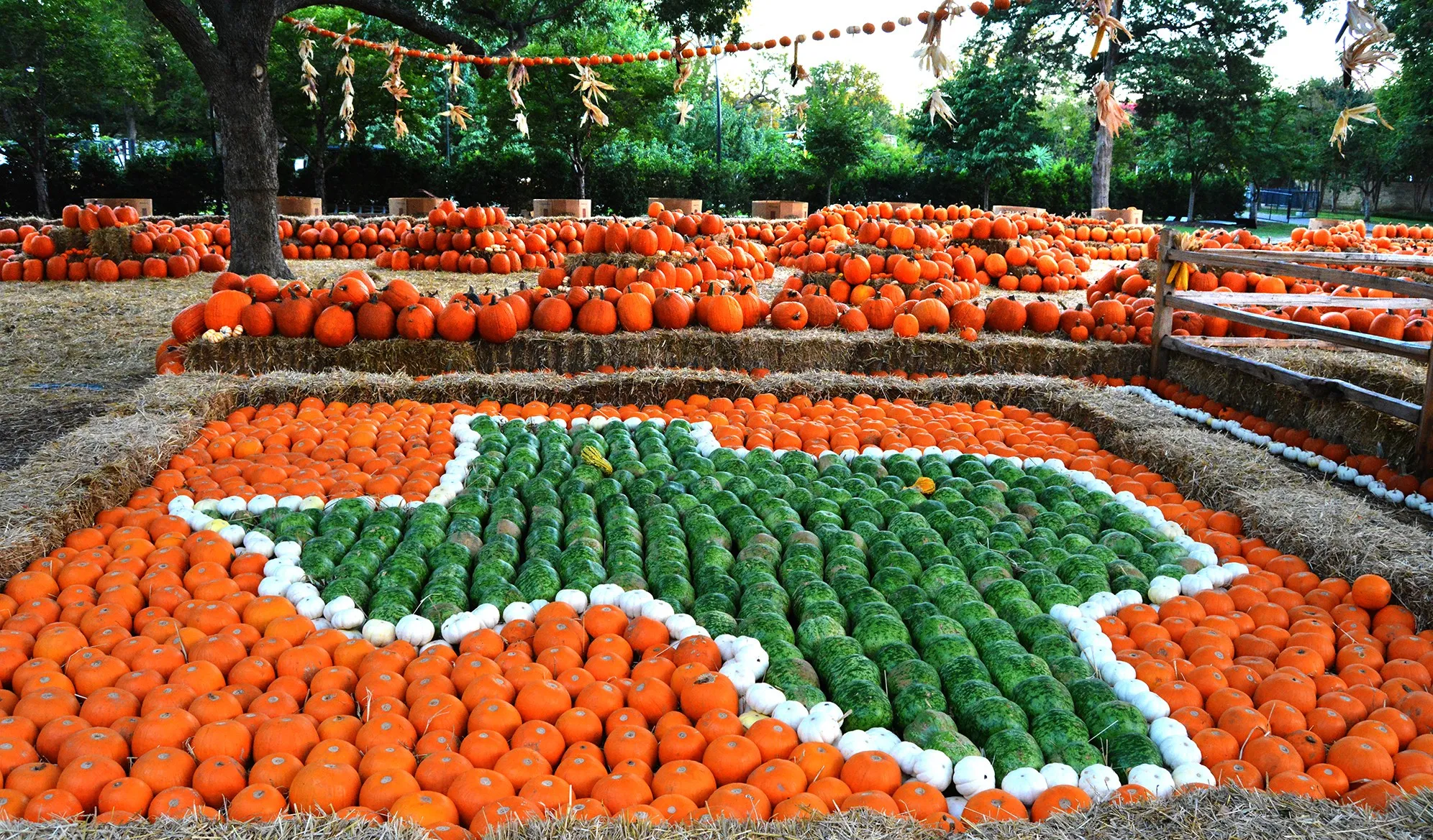 Save Money This Fall By Improving Your Dallas Home Energy Efficiency