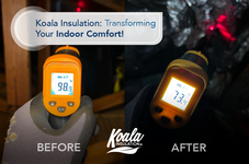 Koala Insulation: Transforming your Indoor Comfort