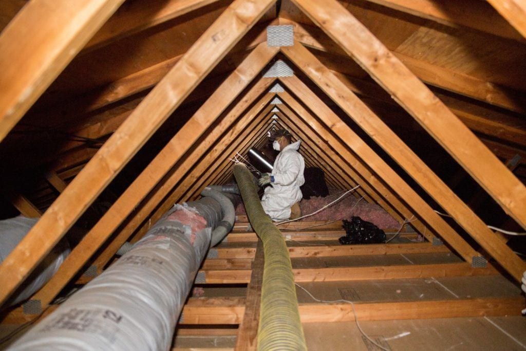 What to Look For: DIY Checks and Inspections