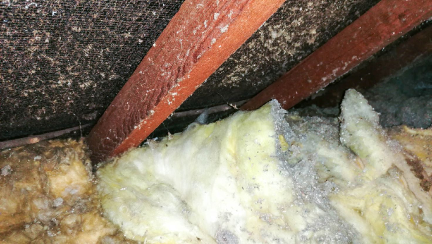 Asbestos Insulation Removal in Baltimore