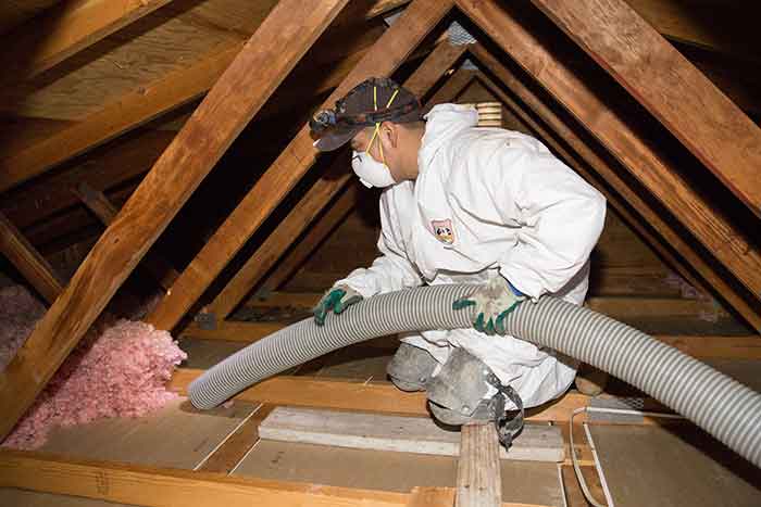 Why Hire a Professional for Insulation Removal?