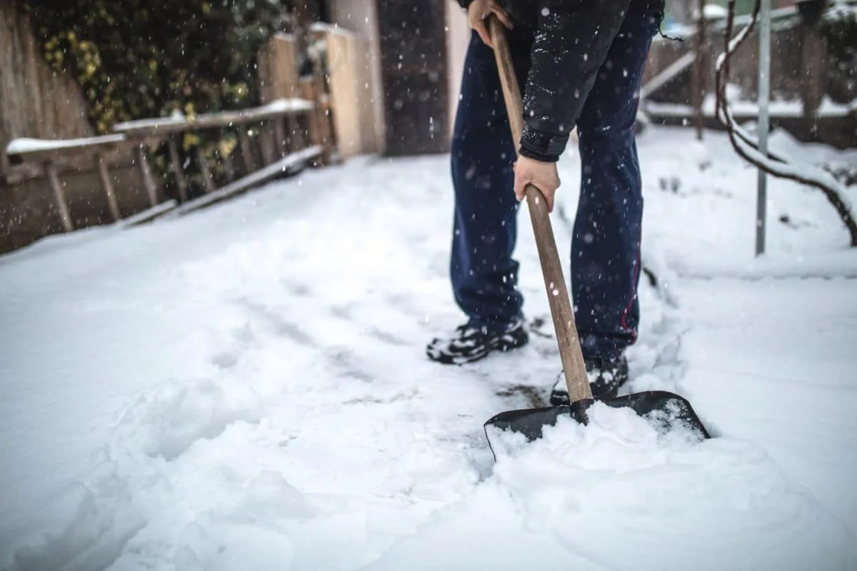 Upcoming St. Louis winter described as “Hibernation Zone”