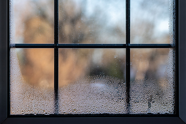 Is Your Home Too Humid? | Koala Insulation of Jacksonville