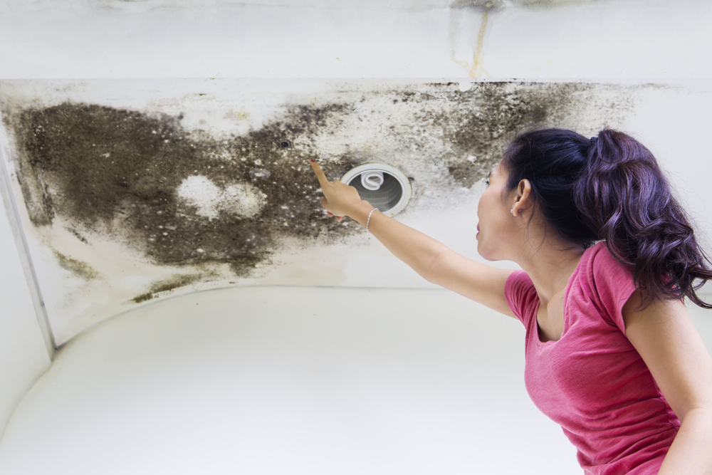 Moisture Control through Insulation: Insights from Koala Insulation