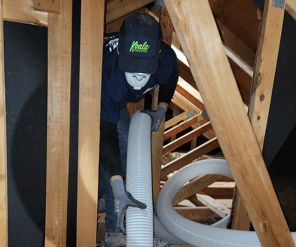 Insulation Removal Services