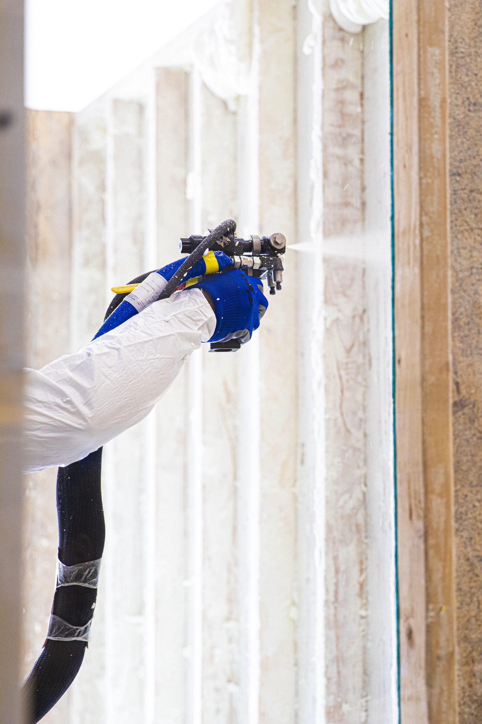 How to Protect Your Home Against Mold and Mildew